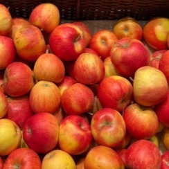 Apples