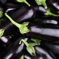 Black eggplant