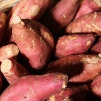 Sweet Potatoes