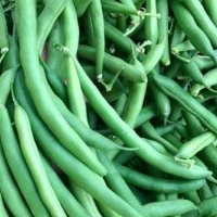 Green Beans