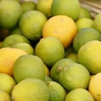 Lime